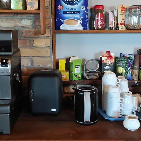 Hot Elf Goscinne 슈비노우이스쳬