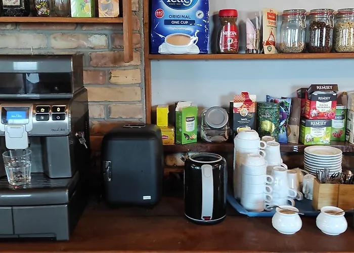 Hot Elf Goscinne 슈비노우이스쳬