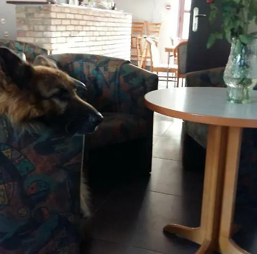 B&B Hot Elf Goscinne *